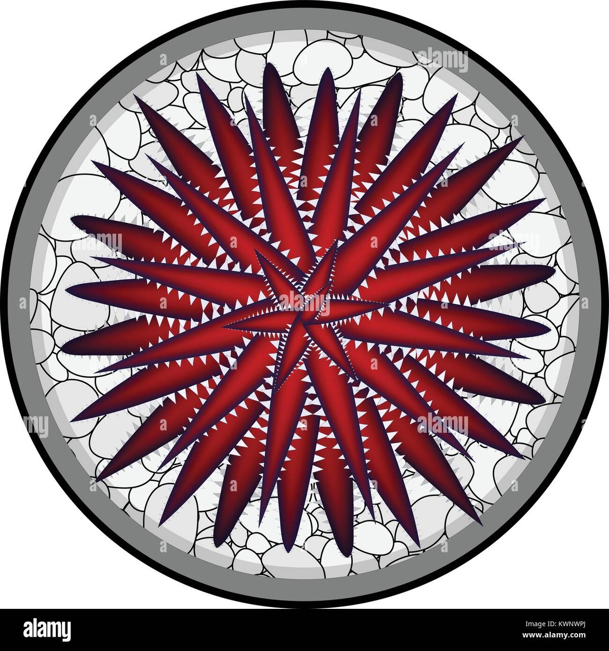 Top Asian Fusion Restaurants Downtown Culver City You Need To Try